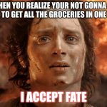 Guess theirs gonna be another trip | WHEN YOU REALIZE YOUR NOT GONNA BE ABLE TO GET ALL THE GROCERIES IN ONE TRIP; I ACCEPT FATE | image tagged in memes,it's finally over | made w/ Imgflip meme maker