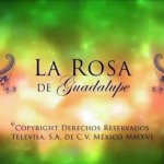 Logo La rosa de Guadalupe entrada logo