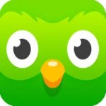 Duolingo App Icon (2013-2019)