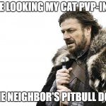 Brace Yourselves X is Coming | ME LOOKING MY CAT PVP-ING; THE NEIGHBOR'S PITBULL DOG | image tagged in memes,brace yourselves x is coming | made w/ Imgflip meme maker