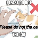 Please do not the cat | PLEASE DO NOT; THE CAT | image tagged in please do not the cat | made w/ Imgflip meme maker
