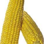 corn