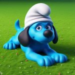 smurf dog