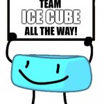 TEAM ❄ CUBE ALL THE WAY! | ICE CUBE; TEAM; ALL THE WAY! | image tagged in bracelety sign,bored,idk | made w/ Imgflip meme maker
