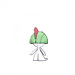 funny hat