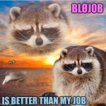 Racoon Sun Set | BLØJ0B; ムキ; IS BETTER THAN MY JOB | image tagged in racoon sun set | made w/ Imgflip meme maker