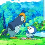 Prinplup and piplup