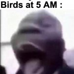 for the love of god, please shut up | Nobody :
Birds at 5 AM : | image tagged in memes,funny,relatable,birds,shitpost,scream | made w/ Imgflip meme maker