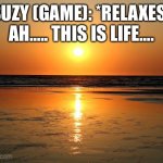 Sunbathing at the beach | SUZY (GAME): *RELAXES* AH….. THIS IS LIFE…. | image tagged in beach sunset | made w/ Imgflip meme maker