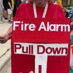 Fire Alarm Lady