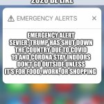 Emergency Alert | 2020 BE LIKE; EMERGENCY ALERT SEVIER: TRUMP HAS SHUT DOWN THE COUNTRY DUE TO COVID 19 AND CORONA STAY INDOORS DON'T GO OUTSIDE UNLESS IT'S FOR FOOD, WORK, OR SHOPPING | image tagged in emergency alert,2020 sucks,donald trump,covid 19,corona virus,lockdown | made w/ Imgflip meme maker