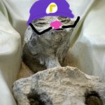 Waluigi Mexican Alien