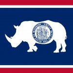 Wyoming's New Flag