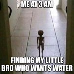 My alien at 3am | ME AT 3 AM; FINDING MY LITTLE BRO WHO WANTS WATER | image tagged in my alien at 3am | made w/ Imgflip meme maker