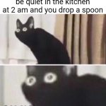 True | When you are trying to be quiet in the kitchen at 2 am and you drop a spoon | image tagged in memes,funny,funny memes,dank memes,so true memes,relatable | made w/ Imgflip meme maker