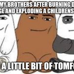 We Bear Man Face | ME AND MY BROTHERS AFTER BURNING DOWN AN ORPHANAGE AND EXPLODING A CHILDRENS HOSPITAL; WE DID A LITTLE BIT OF TOMFOOLERY | image tagged in we bear man face | made w/ Imgflip meme maker