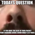 Answer | TODAYS QUESTION; IF YOU HAVE THE BLUE IN YOUR POCKET AND YOUR GRANDMA BROKE DOWN WHAT’S IN YOUR DOG? | image tagged in close up moist | made w/ Imgflip meme maker