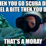 Princess Cutabitch Presents | WHEN YOU GO SCUBA DIVE FEEL A BITE THEN YOU DIE; THAT'S A MORAY | image tagged in that's a moray | made w/ Imgflip meme maker