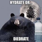Hydrate Threat Bear | HYDRATE OR... DIEDRATE | image tagged in hydrate threat bear | made w/ Imgflip meme maker