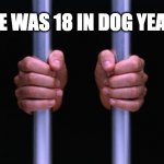 she was 18 in dog years | SHE WAS 18 IN DOG YEARS | image tagged in prison bars,memes,funny memes,meme,dark humor,child molester | made w/ Imgflip meme maker