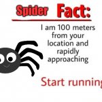 Spider fact template
