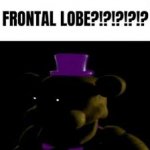 Frontal lobe!?!?!?