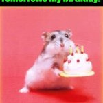 birthday hamster | Tomorrows my birthday! | image tagged in birthday hamster | made w/ Imgflip meme maker