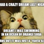 Scared Cat Meme | I HAD A CRAZY DREAM LAST NIGHT; MEMEs by Dan Campbell; DREAMT I WAS SWIMMING IN AN OCEAN OF ORANGE SODA; TURNS OUT IT WAS JUST A "FANTA SEA" | image tagged in memes,scared cat | made w/ Imgflip meme maker