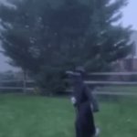 Its Iceu walk time | Person: "Tell me you are into Halloween without telling me you like Halloween"; Me: | image tagged in gifs,meme,iceu,plague doctor | made w/ Imgflip video-to-gif maker