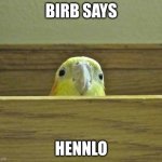 No meme, just birb. | BIRB SAYS; HENNLO | image tagged in the birb | made w/ Imgflip meme maker