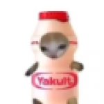 yakult cat meme