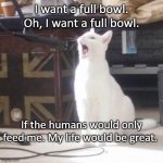 cat singing into a microphone | I want a full bowl. Oh, I want a full bowl. If the humans would only feed me. My life would be great. | image tagged in cat singing into a microphone | made w/ Imgflip meme maker