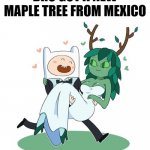 Maple | BRO GOT A NEW MAPLE TREE FROM MEXICO | image tagged in marrying a tree,funny,memes | made w/ Imgflip meme maker