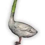 Asparagoose | image tagged in asparagoose | made w/ Imgflip meme maker