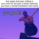 yeah im good man... | that spider that been chilling in your room for the past 3 weeks watching you have a mental breakdown and crying | image tagged in you good | made w/ Imgflip meme maker
