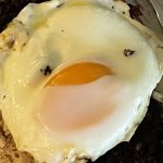 empathic egg