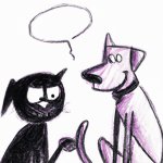 Black Cat talking to a Dog