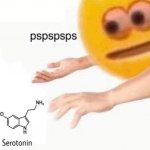 serotonin pspspsps