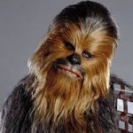 Wookie Warrior