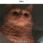 Pathetic Cat | User: Celebrates when he got 10,000 points
Iceu: | image tagged in pathetic cat,pathetic | made w/ Imgflip meme maker