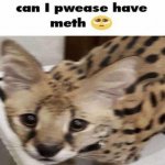 meth meme