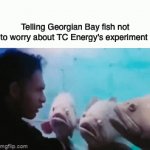 Fish experiment | Telling Georgian Bay fish not to worry about TC Energy's experiment | image tagged in gifs,fish,canada day | made w/ Imgflip video-to-gif maker