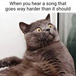 *head dancing insues* | When you hear a song that goes way harder than it should | image tagged in surprised cat | made w/ Imgflip meme maker