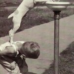 Teamwork Dog Water Fountain | THIS IS HOW YOU RECOGNIZE; A REAL FRIEND | image tagged in teamwork dog water fountain | made w/ Imgflip meme maker