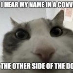 i like this template | ME WHEN I HEAR MY NAME IN A CONVERSATION; ON THE OTHER SIDE OF THE DOOR | image tagged in i'm watchin' you | made w/ Imgflip meme maker