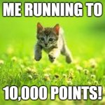 I know I've been talking about that a lot but there are so many good stream i can't post on yet | ME RUNNING TO; 10,000 POINTS! | image tagged in run for your lives cat,10000 points,yay kitty | made w/ Imgflip meme maker