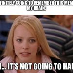 *bangs head on desk* | "I'M DEFINITELY GOING TO REMEMBER THIS MEME IDEA"
MY BRAIN:; YEAH... IT'S NOT GOING TO HAPPEN | image tagged in memes,its not going to happen,forgetting,meme ideas,forgetting meme ideas | made w/ Imgflip meme maker