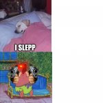 Sleeping guy