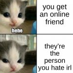 Cute cat hehe and not hehe Meme Generator - Imgflip