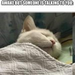 This happens to me all the time | WHAT IT'S LIKE WHEN YOUR HARDLY AWAKE BUT SOMEONE IS TALKING TO YOU: | image tagged in cat sleeping blanket r | made w/ Imgflip meme maker